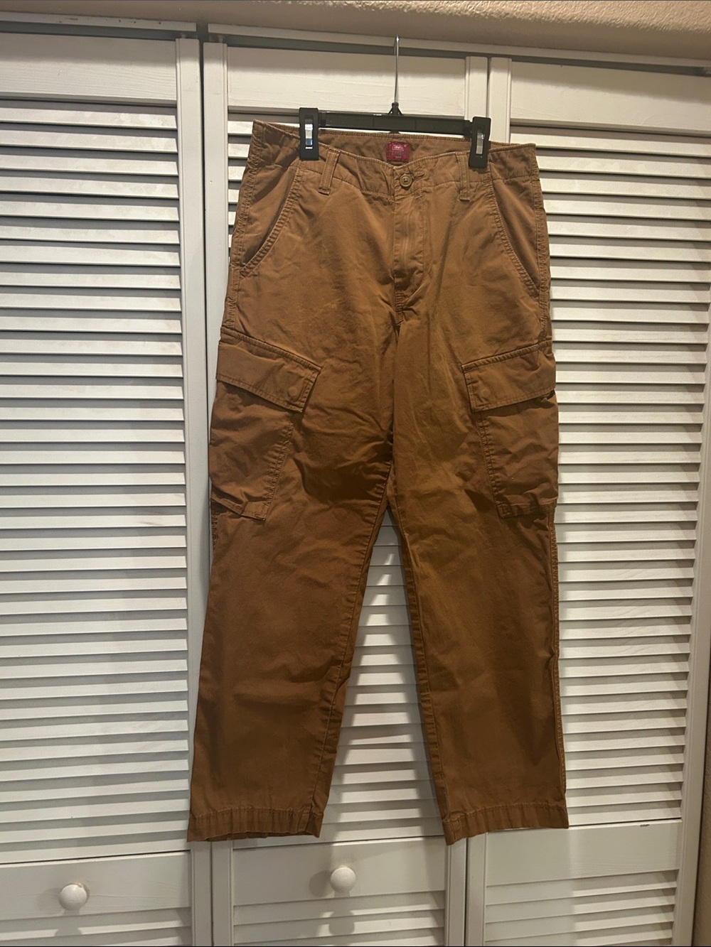 Levi's Men's Cargo Pants in Brown